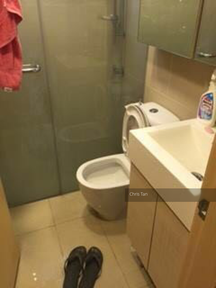A Treasure Trove (D19), Condominium #115152552